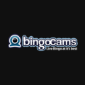 Bingocams